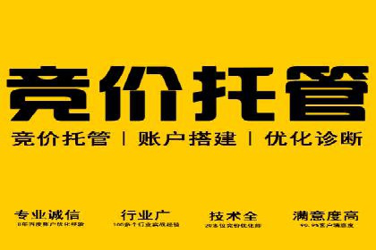 专业SEM托管服务，案例展示精准营销成果